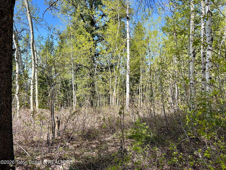 1st image of 280 Wolverine Way