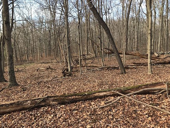 thumbnail_IMG_5883 (1).jpg