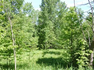 0 Valley Rd, Alanson, MI 49706