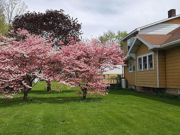 side yard with beautiful flowering trees
