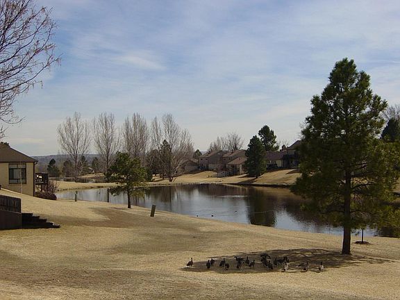Pond from Back Patio