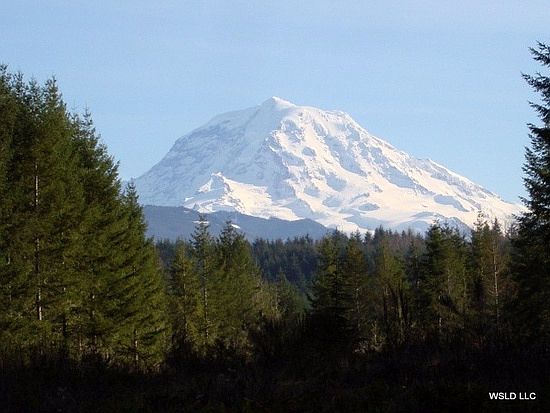 Mt Rainier views