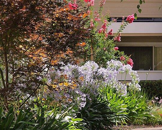 5th image of 1447 Balhan Dr #67204