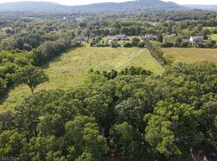 138 Kosciuszko Rd, Whitehouse Station, NJ 08889
