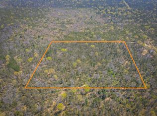 10517 N Power Pole Rd, Irons, MI 49644