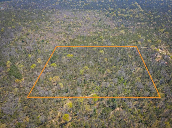 10517 N Power Pole Rd, Irons, MI 49644