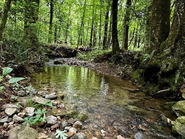 Dream Ln, Wickes, AR 71973