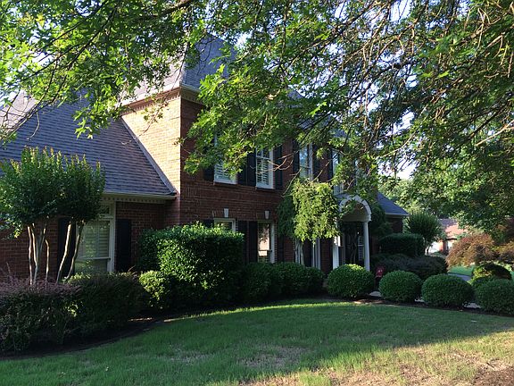Mature Landscaping