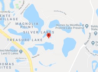 21635 McCallie Ct, Land O Lakes, FL 34637