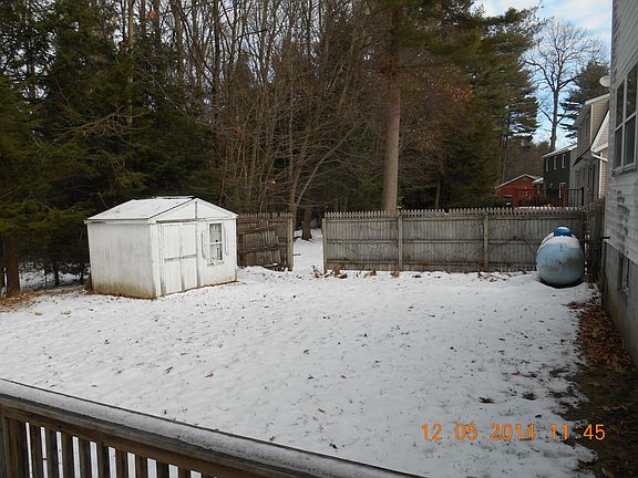 rear yard and shed