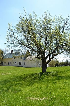 2nd image of 2000 High Pastures Rd