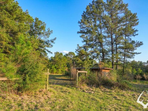 850 County Road 4390, Hillister, TX 77624