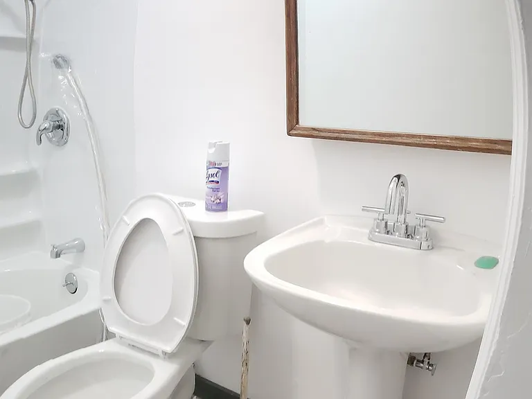 213 Locust St #2 — Photo 4