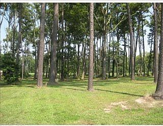 1st image of 137 Heron Pointe Dr