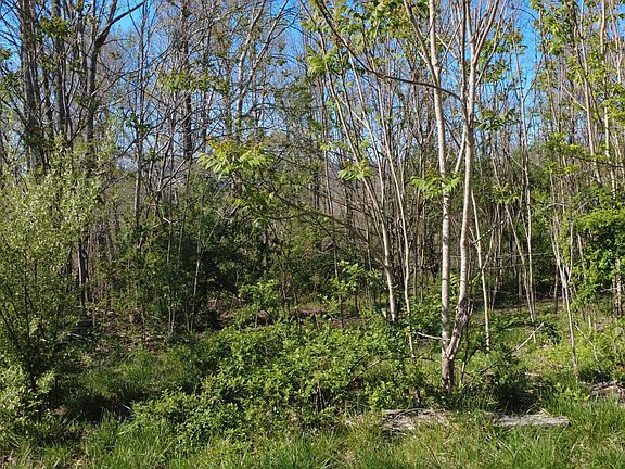 5th image of 144 Pleasant Ln