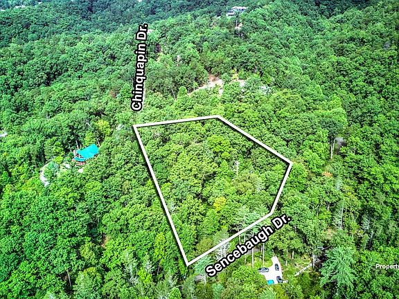 4th image of Chinquapin Dr