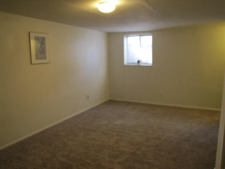 Large family room in the finished basement