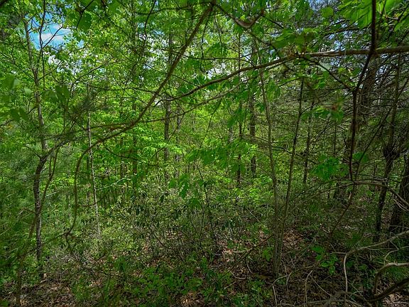 3rd image of LOT 23 Mountain Ash Way Lot 23
