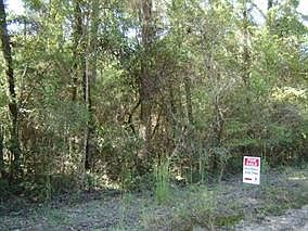 1st image of Lot 1a Wakulla Gardens