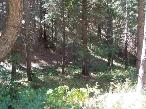 307 Nugget Ln, Quincy, CA 95971