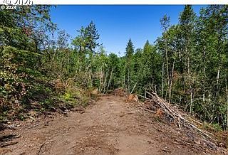 3rd image of NE Berry Rd