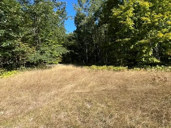 718 Worsh Rd, Indian River, MI 49749