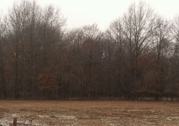 3rd image of 1173 County Road 1500 E