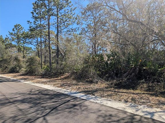 3rd image of 1211 PINNATA DRIVE LOT 6