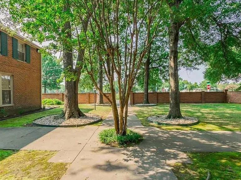 1023 Scott St — Photo 3