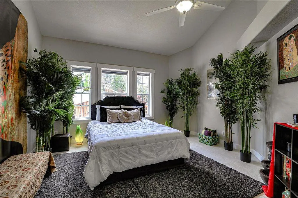 385 Photinia Ln — Photo 3