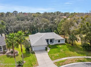 1209 Venetia Dr, Spring Hill, FL 34608