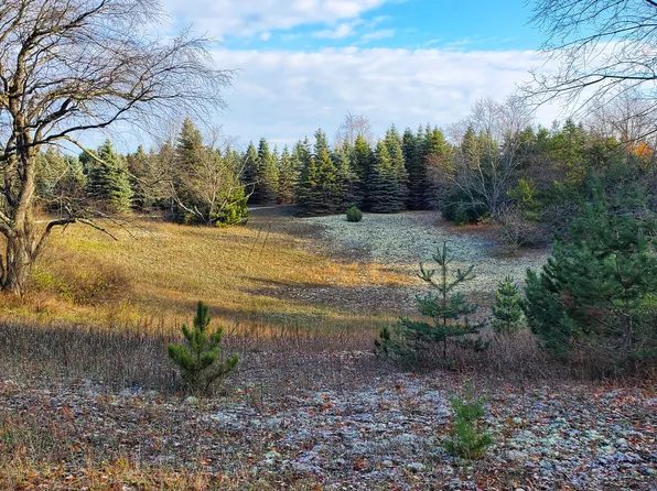 Wells Rd, Thompsonville, MI 49683