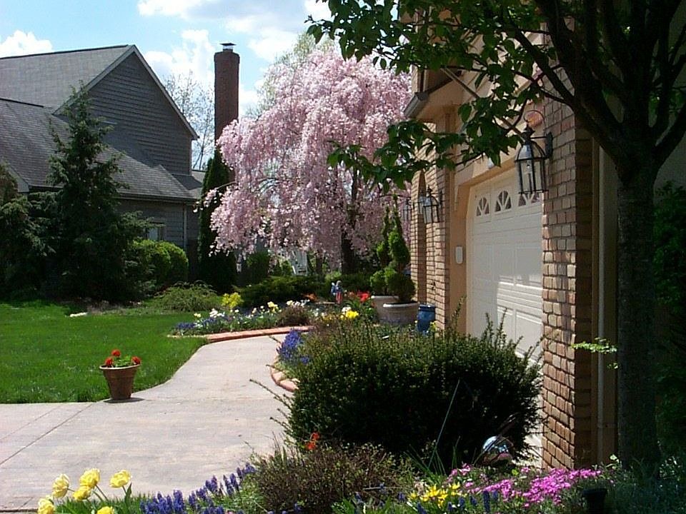 Front yard from the garage side.