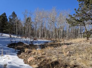 80 Cottontail Ln, Nederland, CO 80466