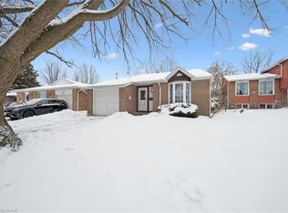 54 Dolman Ct, Cambridge, ON N1S 4G4