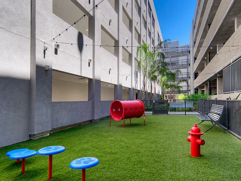 On-site Dog Park