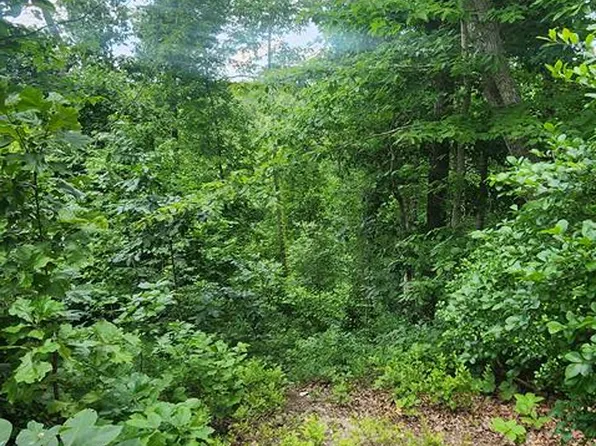 26 Locust Cv, Holladay, TN 38341
