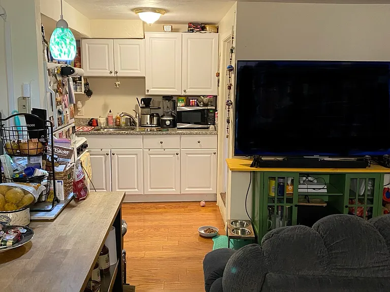 105 Chestnut St #1B — Photo 12