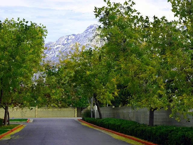 Mountain Views