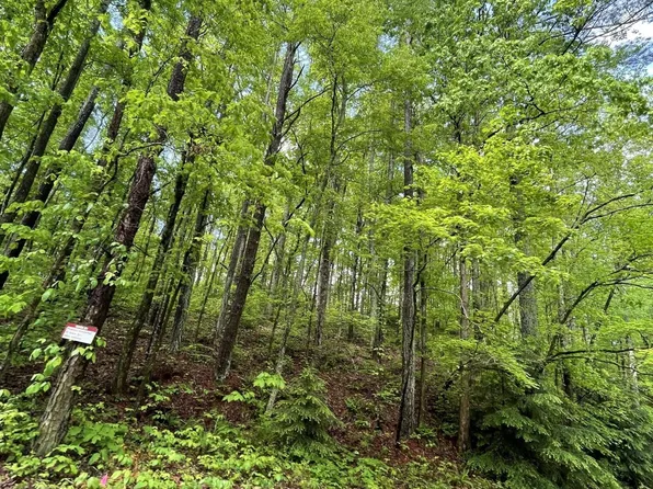 1600 Old Alabama Rd SW, Mc Donald, TN 37353