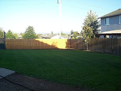 Backyard looking East