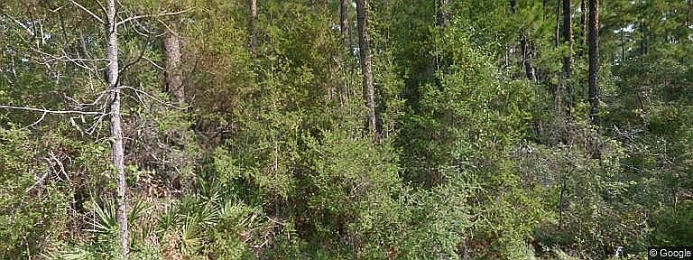 Undeveloped 1406 Oleander Av