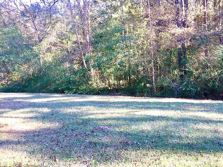 684 Elvis Presley Dr — Photo 12