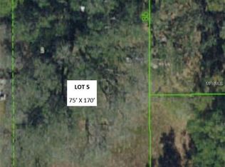 30312 Orange Grove Ln, Wesley Chapel, FL 33545