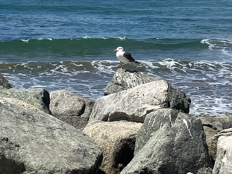 Royal Palms Beach and Park