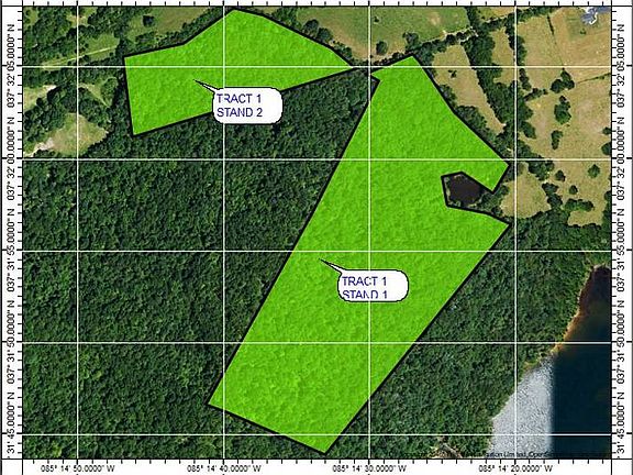 4th image of 106 Robert J Clark Rd