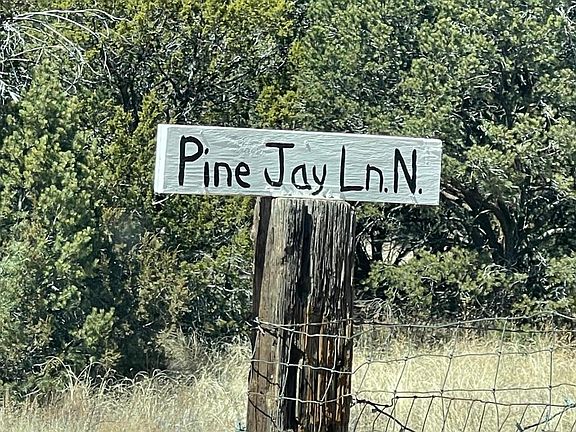 5th image of 4 Pine Ct