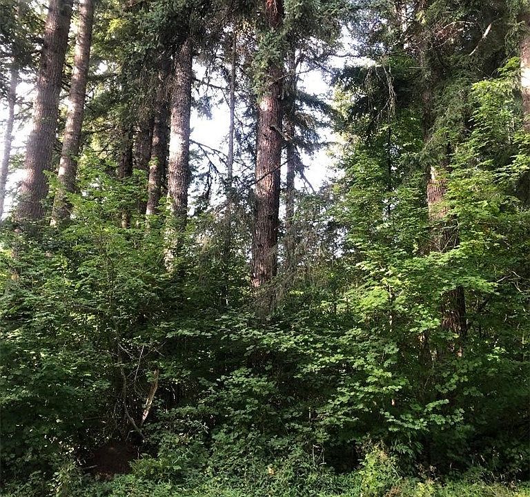 1st image of 31107 553rd St E