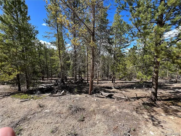 123 Lodge Pole Drive, Leadville, CO 80461