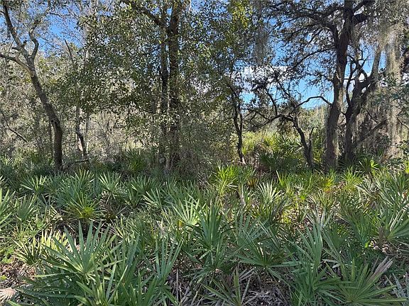 4th image of 0 Alturas Babson Park Cut Off Rd